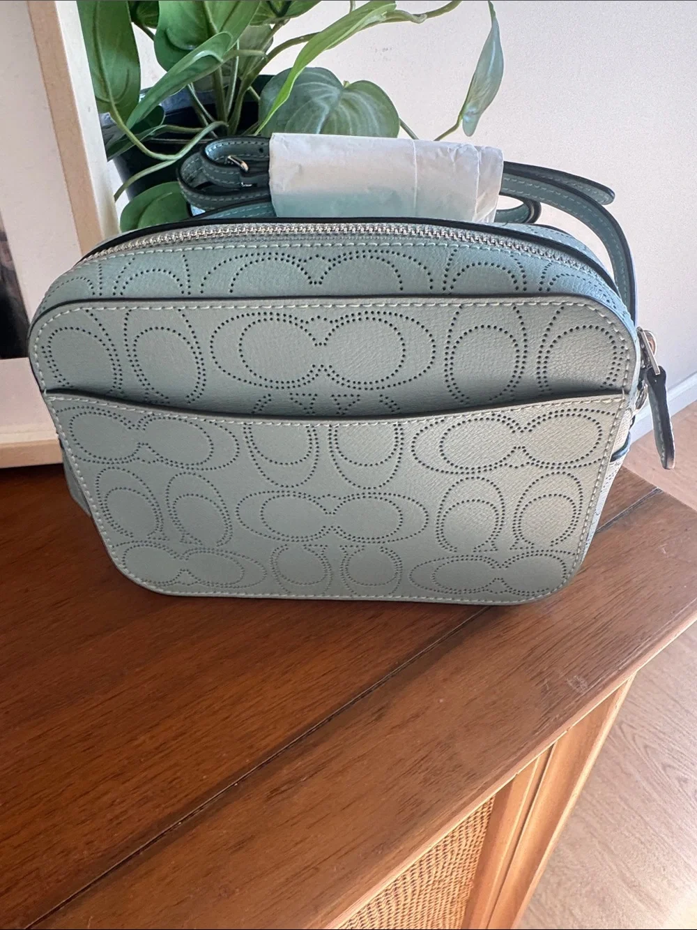 Coach Women's Robins Egg Blue Perforated Camera Crossbody Bag